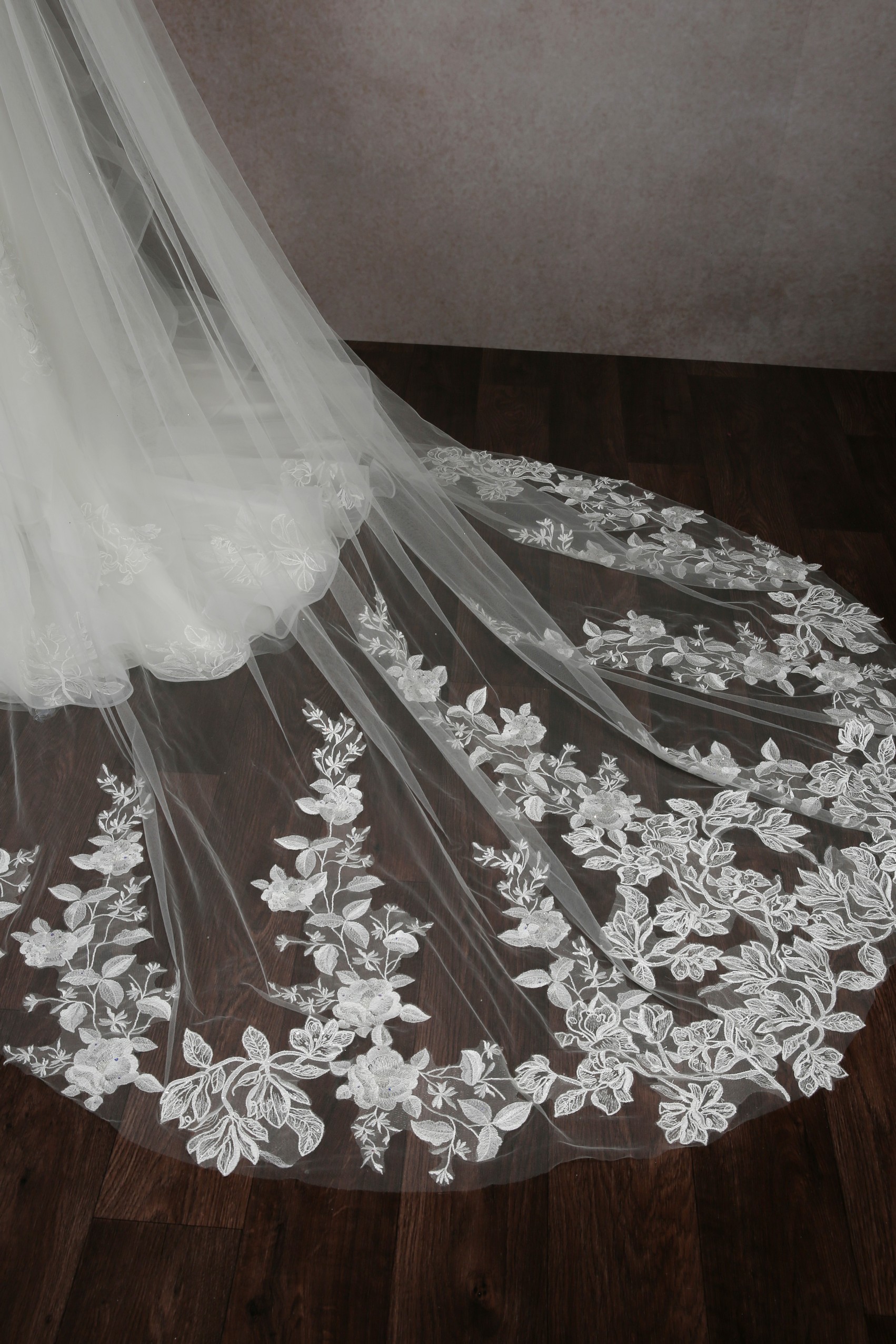 Shimmer Lace Train Veil Richard Designs